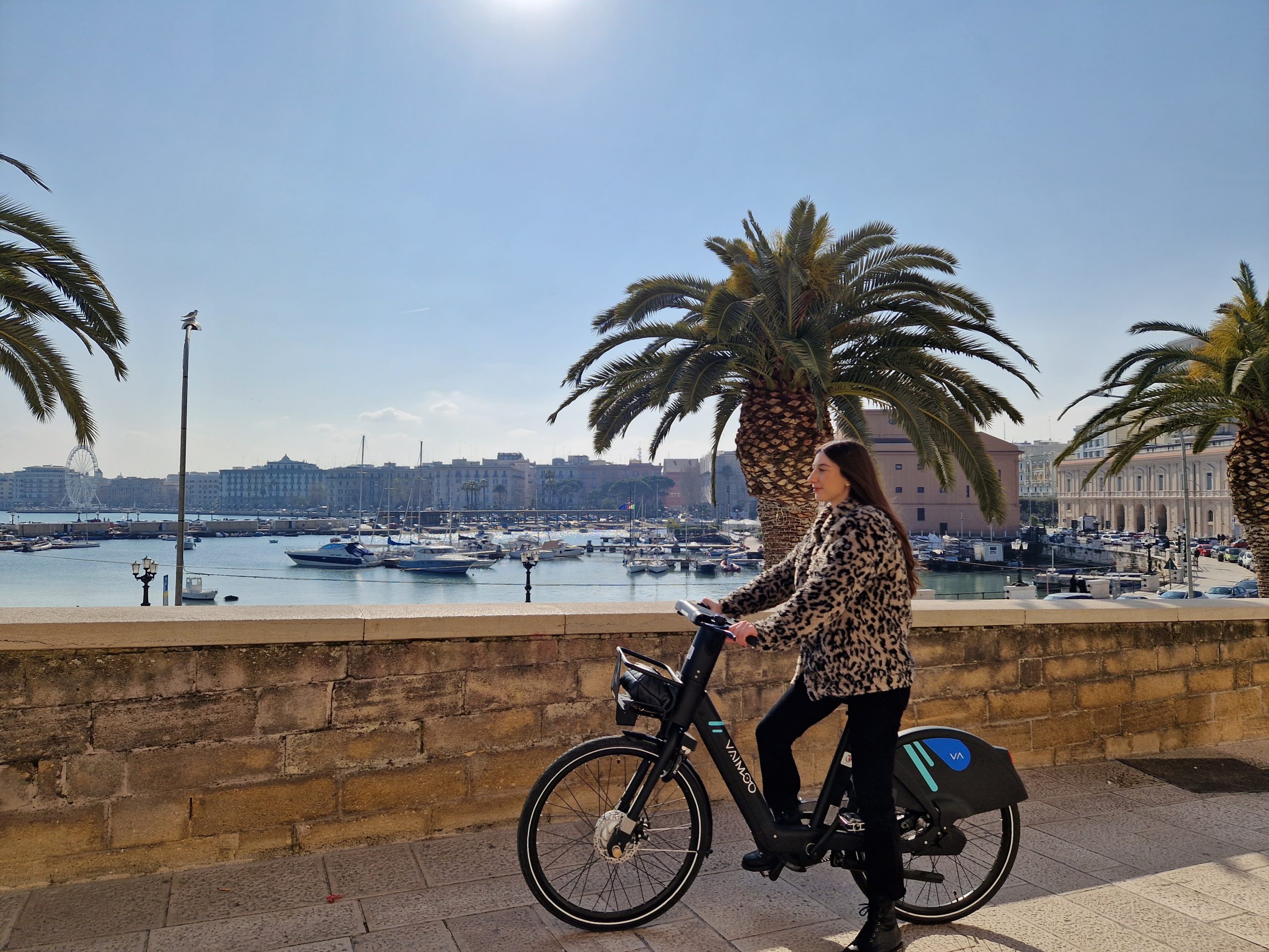 VAIMOO eBike sharing